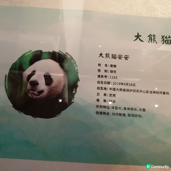 生日免費遊Ocean Park