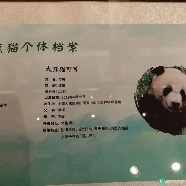 生日免費遊Ocean Park