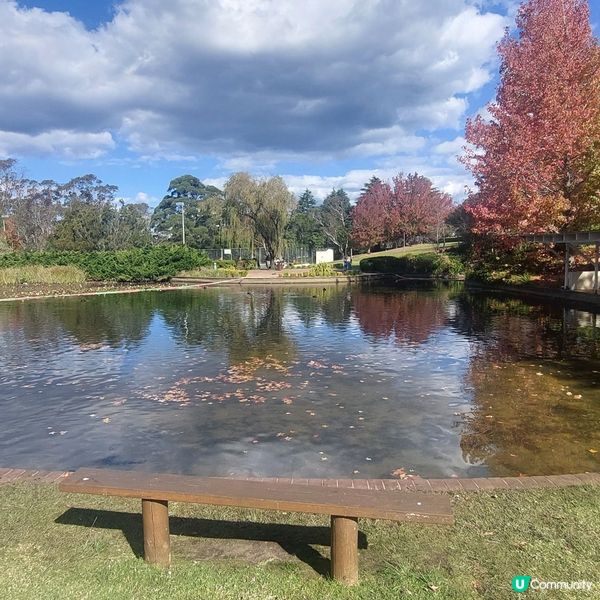 藍山～悉尼  🏞