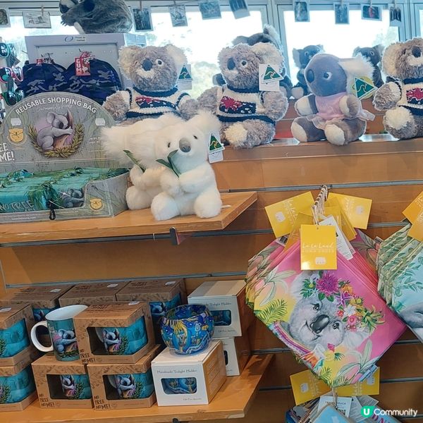 藍山～悉尼  🏞