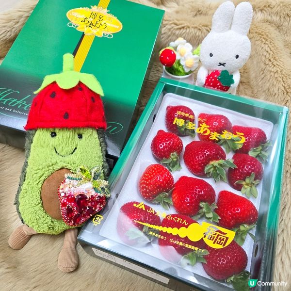 記錄食草莓#5🍓