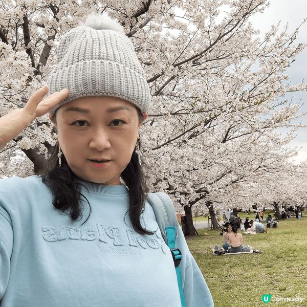 呢期最hit，人玩我又玩免費改圖吉卜力風格又或舊式畫風，好得...