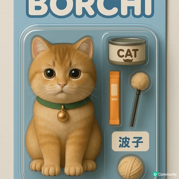 埋黎睇! 埋黎揀! 📣