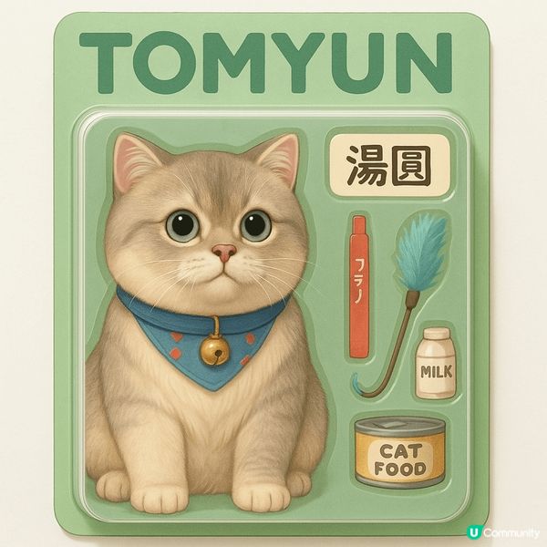 埋黎睇! 埋黎揀! 📣