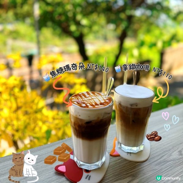 🇹🇼𤠣桐貓村嘆住咖啡睇喵喵🐱