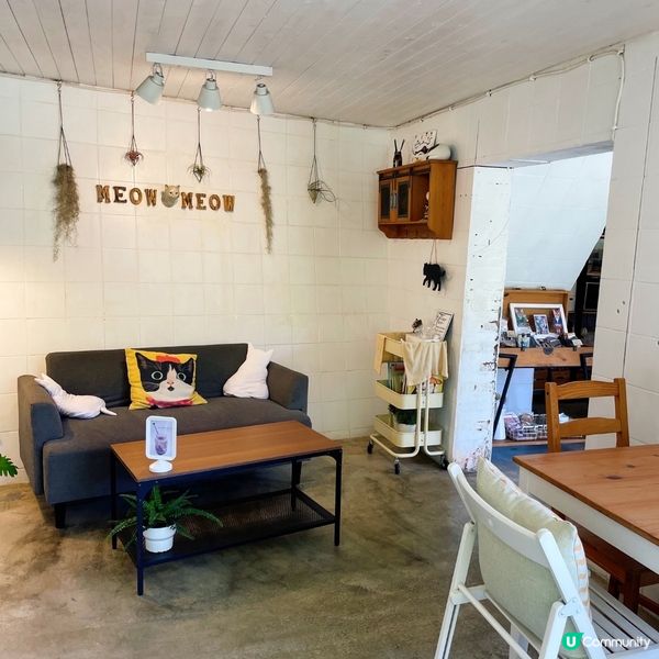 🇹🇼𤠣桐貓村嘆住咖啡睇喵喵🐱