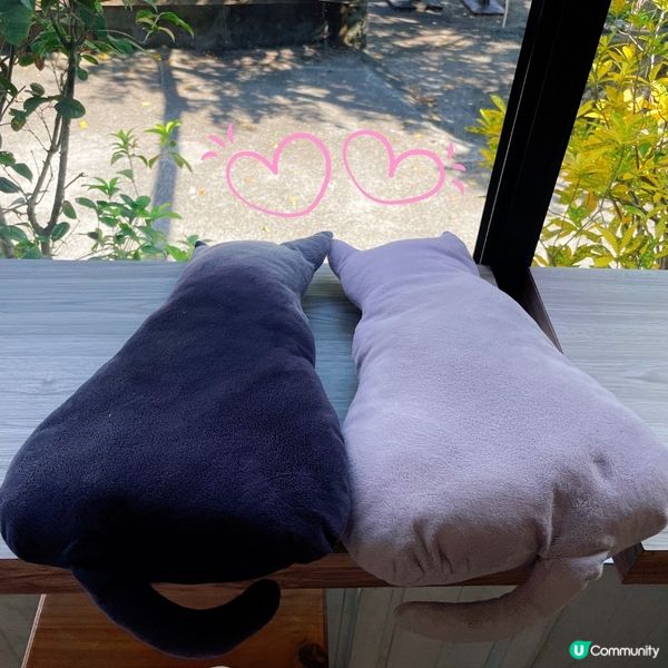 🇹🇼𤠣桐貓村嘆住咖啡睇喵喵🐱