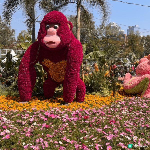 第一張相是在堅尼地城海傍拍的，那裏是內地遊客的拍照熱點非常人...
