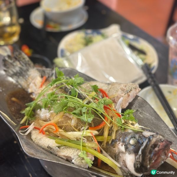 🇻🇳越南峴港海鮮天堂 🦐🦀🐟  即叫即煮，鮮味爆燈！😋