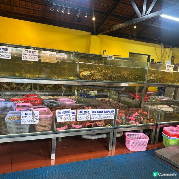 🇻🇳越南峴港海鮮天堂 🦐🦀🐟  即叫即煮，鮮味爆燈！😋