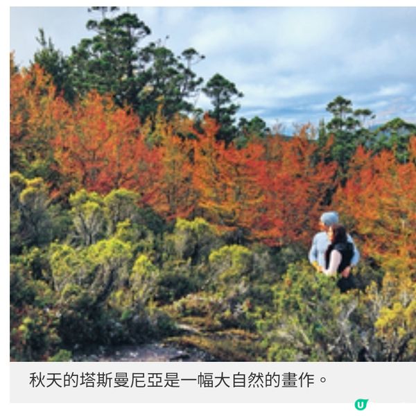 遠離地震預測地區走入塔斯曼尼亞 延續秋日賞葉浪漫
