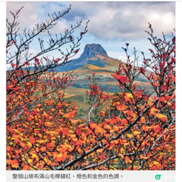 遠離地震預測地區走入塔斯曼尼亞 延續秋日賞葉浪漫