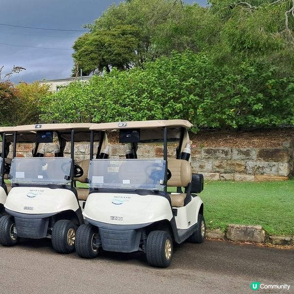 高爾夫member球會⛳️🏌‍♀️🏌‍♂️