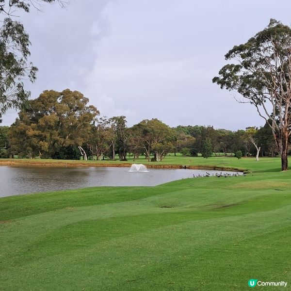 高爾夫member球會⛳️🏌‍♀️🏌‍♂️