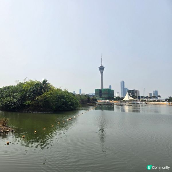 #澳門必食 #澳門必買 #澳門必玩 #澳門打卡 #葡撻 #豬...