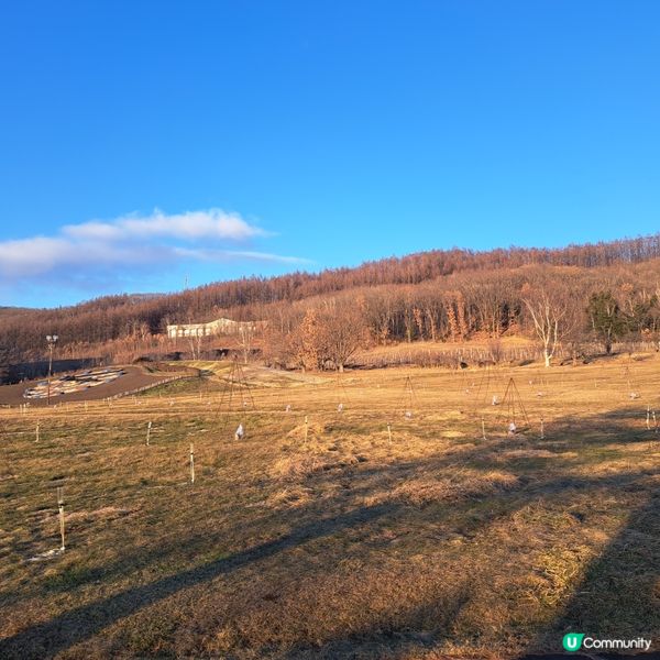 北海道旅遊🥳十勝之丘公園🔔音更花時計🕐欣賞日落風景🌅