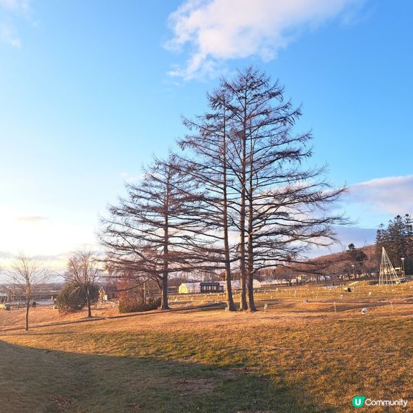 北海道旅遊🥳十勝之丘公園🔔音更花時計🕐欣賞日落風景🌅
