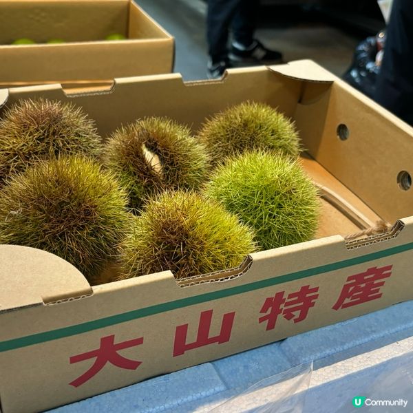 有博多廚房之稱既｢柳橋連合市場｣擁有著百年歷史,係福岡人氣傳...