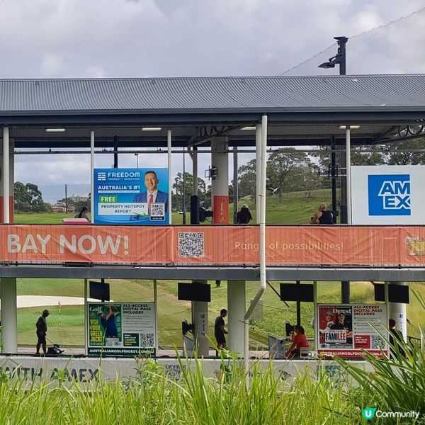 在悉尼市中心附近高爾夫球場⛳️🏌‍♀️🏌‍♂️