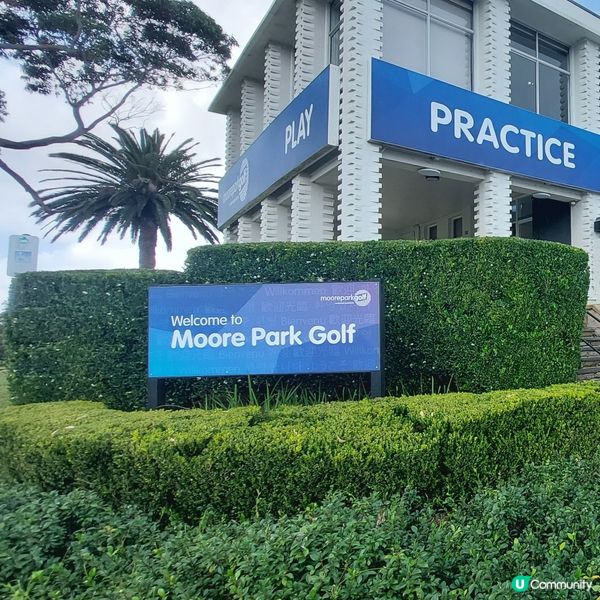 在悉尼市中心附近高爾夫球場⛳️🏌‍♀️🏌‍♂️