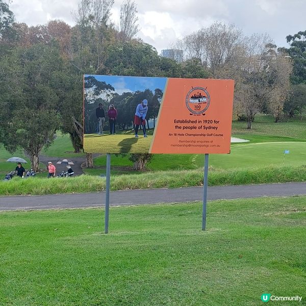 在悉尼市中心附近高爾夫球場⛳️🏌‍♀️🏌‍♂️