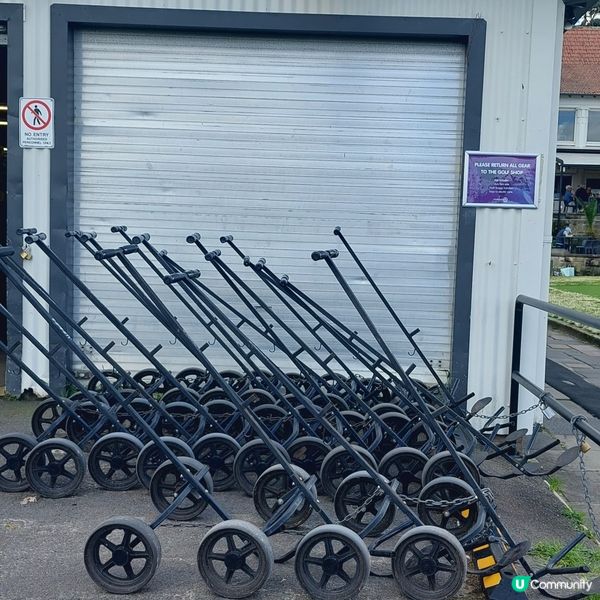 在悉尼市中心附近高爾夫球場⛳️🏌‍♀️🏌‍♂️