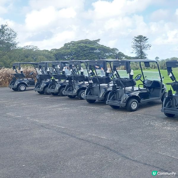 在悉尼市中心附近高爾夫球場⛳️🏌‍♀️🏌‍♂️