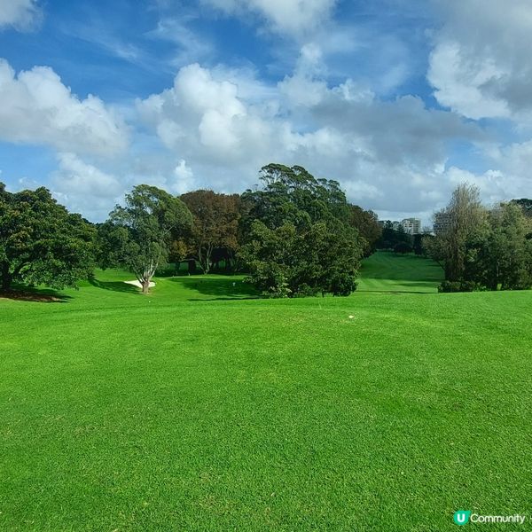 在悉尼市中心附近高爾夫球場⛳️🏌‍♀️🏌‍♂️