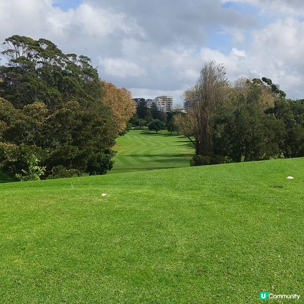 在悉尼市中心附近高爾夫球場⛳️🏌‍♀️🏌‍♂️