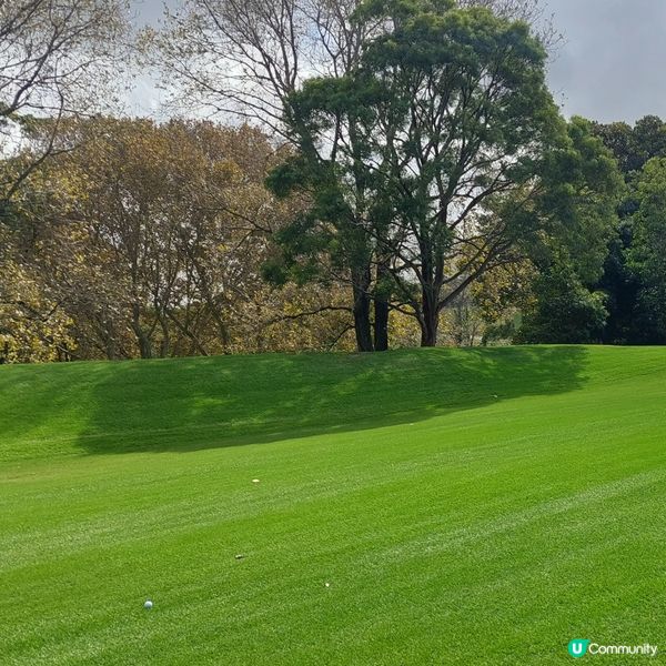 在悉尼市中心附近高爾夫球場⛳️🏌‍♀️🏌‍♂️