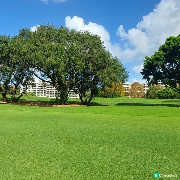 在悉尼市中心附近高爾夫球場⛳️🏌‍♀️🏌‍♂️