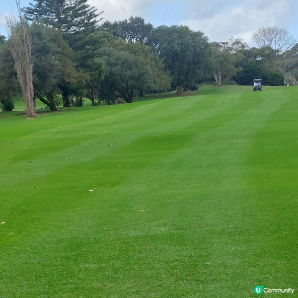 在悉尼市中心附近高爾夫球場⛳️🏌‍♀️🏌‍♂️