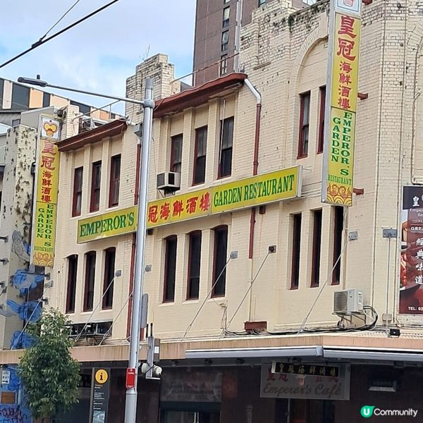 酒樓點心 ☕️悉尼唐人街