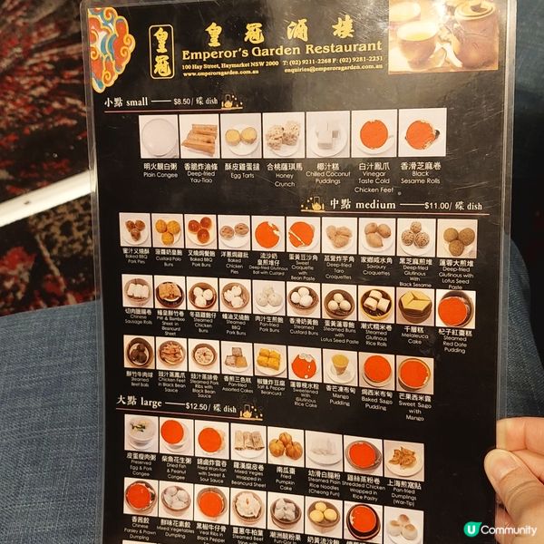 酒樓點心 ☕️悉尼唐人街