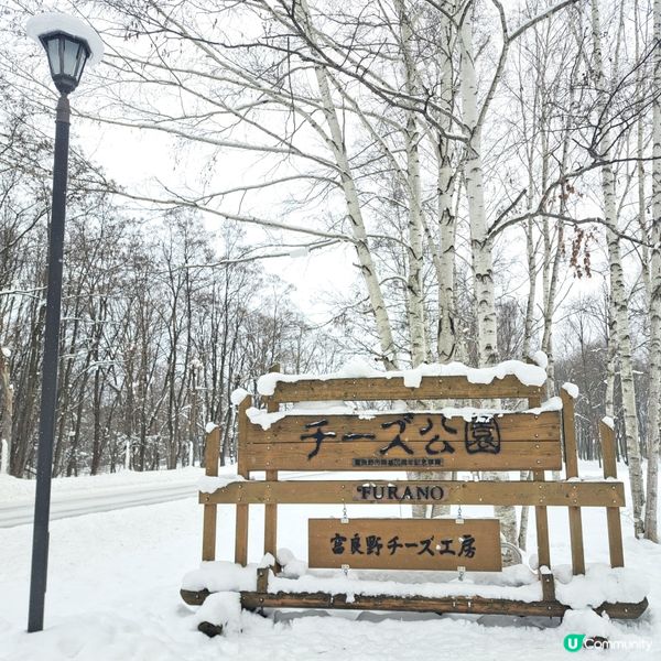 北海道旅遊🥳富良野起司工房😍品嚐出產最馳名的起司牛奶奶油