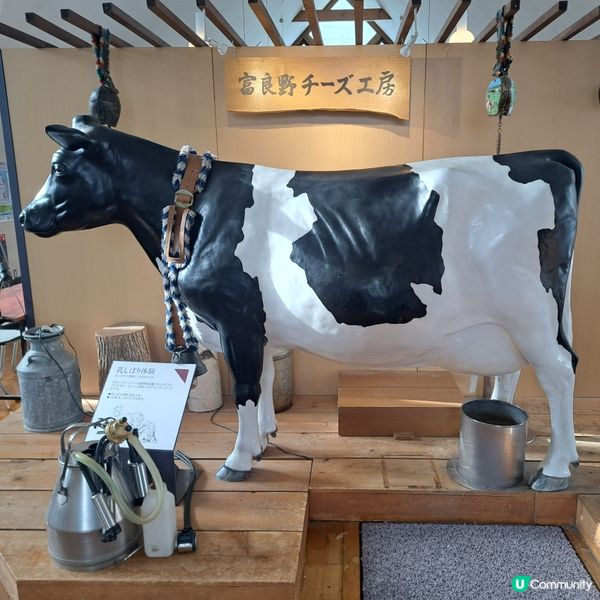 北海道旅遊🥳富良野起司工房😍品嚐出產最馳名的起司牛奶奶油