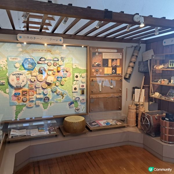 北海道旅遊🥳富良野起司工房😍品嚐出產最馳名的起司牛奶奶油