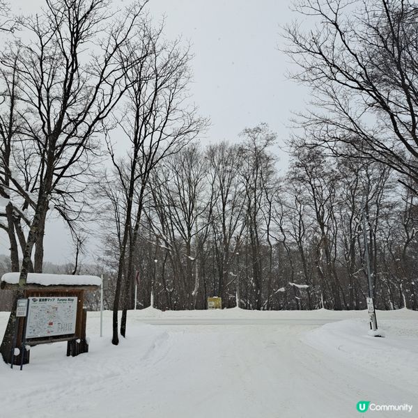 北海道旅遊🥳富良野起司工房😍品嚐出產最馳名的起司牛奶奶油