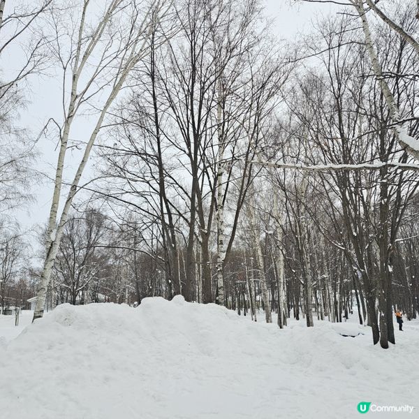 北海道旅遊🥳富良野起司工房😍品嚐出產最馳名的起司牛奶奶油