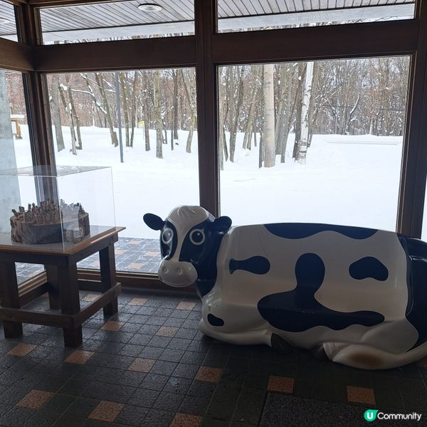 北海道旅遊🥳富良野起司工房😍品嚐出產最馳名的起司牛奶奶油