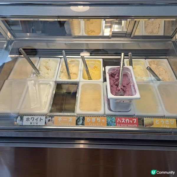 北海道旅遊🥳富良野起司工房😍品嚐出產最馳名的起司牛奶奶油