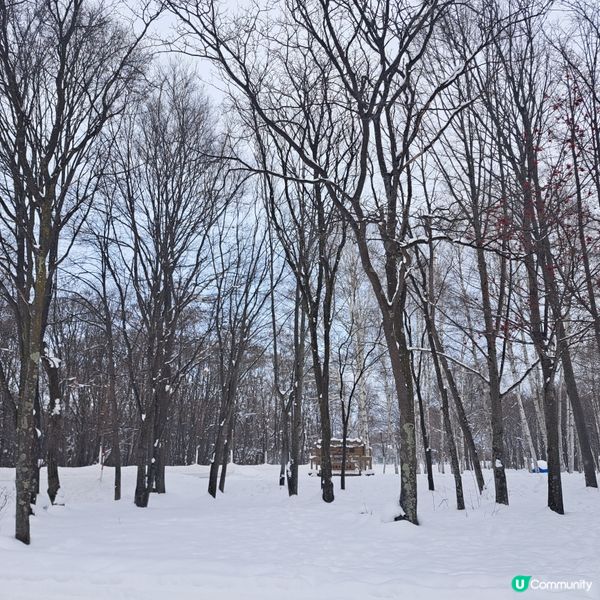 北海道旅遊🥳富良野起司工房😍品嚐出產最馳名的起司牛奶奶油