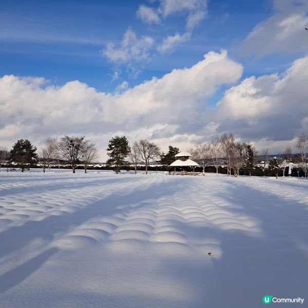 北海道旅遊🥳參觀富田農場😍免費任玩迷你雪兜場🤣刺激好玩