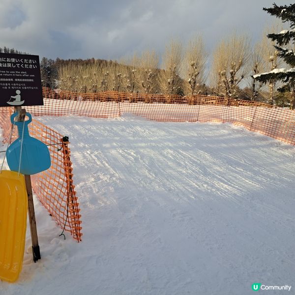北海道旅遊🥳參觀富田農場😍免費任玩迷你雪兜場🤣刺激好玩