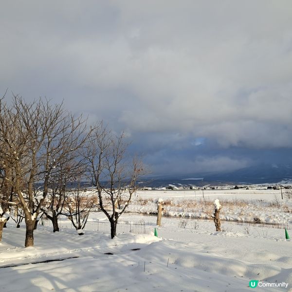 北海道旅遊🥳參觀富田農場😍免費任玩迷你雪兜場🤣刺激好玩