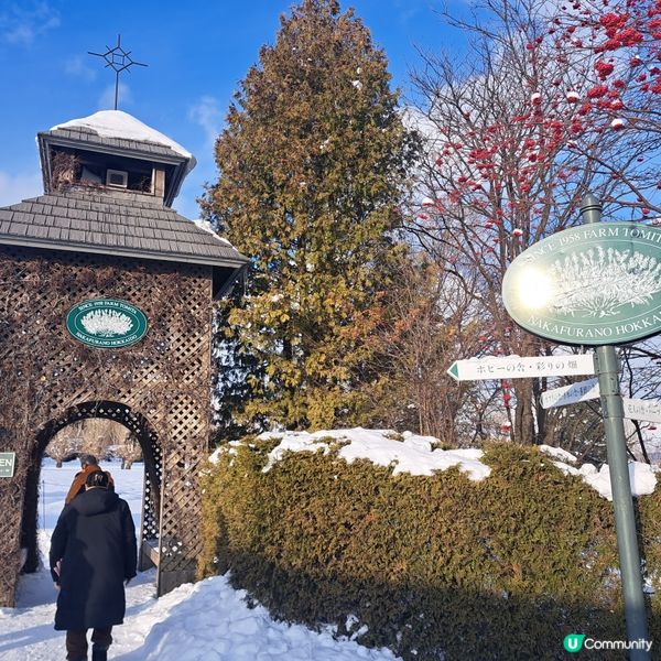北海道旅遊🥳參觀富田農場😍免費任玩迷你雪兜場🤣刺激好玩