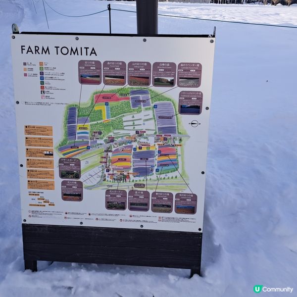 北海道旅遊🥳參觀富田農場😍免費任玩迷你雪兜場🤣刺激好玩