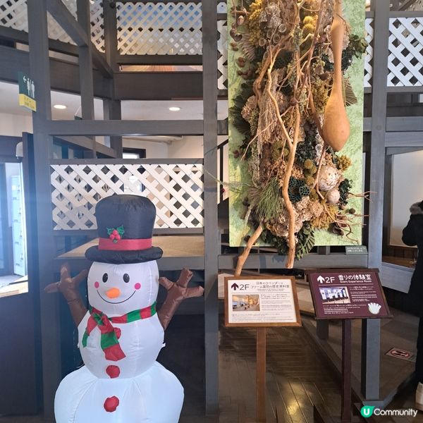 北海道旅遊🥳參觀富田農場😍免費任玩迷你雪兜場🤣刺激好玩