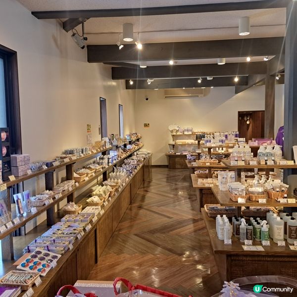 北海道旅遊🥳參觀富田農場😍免費任玩迷你雪兜場🤣刺激好玩