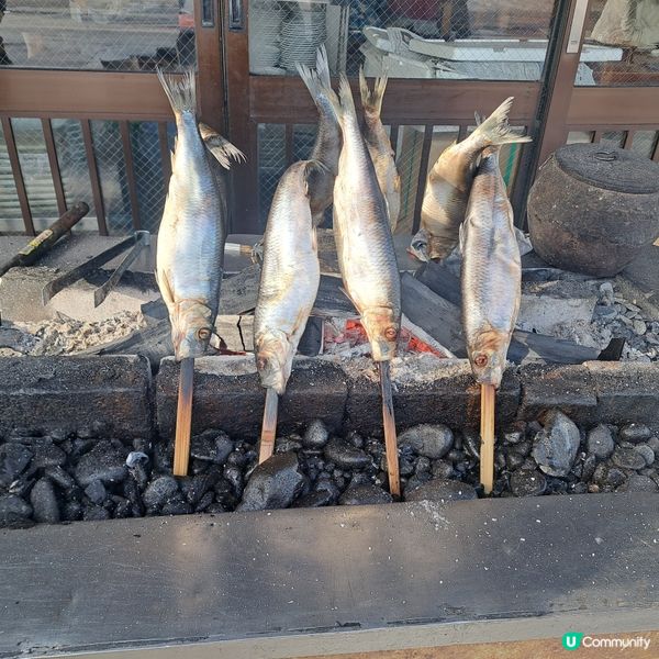 北海道旅遊🥳超高質民宿青塚食堂😍必食新鮮刺身海膽美食😚